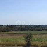 ISTRIA, BUJE - Agricultural land of 14,255 m2 with a sea view! Buje 8120136 thumb11