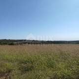  ISTRIA, BUJE - Agricultural land of 14,255 m2 with a sea view! Buje 8120136 thumb6