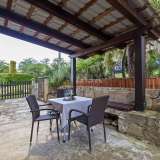  ISTRIA, LABIN - Rustic house surrounded by nature Labin 8120021 thumb8