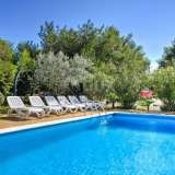  ISTRIA, UMAG - House with swimming pool 300 meters from the beach Umag 8120293 thumb3