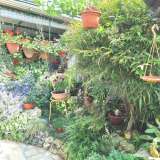  ISTRIA, VALDEBEK Ground floor in flowers with yard and parking Pula 8120515 thumb3