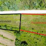  ISTRIEN, MOTOVUN - Komplexes Grundstück mit wunderschöner Aussicht auf Motovun Motovun 8120526 thumb6