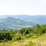  ISTRIEN, MOTOVUN - Komplexes Grundstück mit wunderschöner Aussicht auf Motovun Motovun 8120526 thumb15