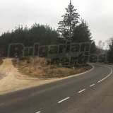  Development land with concession for mineral water in Chepino district Velingrad city 6420064 thumb3