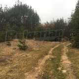  Development land with concession for mineral water in Chepino district Velingrad city 6420064 thumb4