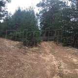  Development land with concession for mineral water in Chepino district Velingrad city 6420064 thumb5