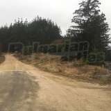  Development land with concession for mineral water in Chepino district Velingrad city 6420064 thumb0