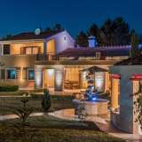  ISTRIA - Exclusive property, villa, spacious garden with additional facilities Zminj 8120641 thumb52