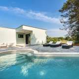  ISTRIA, ROVINJ - Modern one-story house with a swimming pool 800 meters from the sea Rovinj 8120673 thumb1