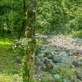  GORSKI KOTAR, KUPSKA DOLINA - Una bellissima proprietà per vacanze nella natura Brod na Kupi 8120694 thumb29
