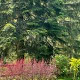  GORSKI KOTAR, KUPSKA DOLINA - Una bellissima proprietà per vacanze nella natura Brod na Kupi 8120694 thumb27