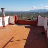  House with 4 bedrooms and 170 m2 Mas de Barberans 2920695 thumb27