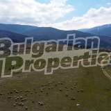  Large plot of land 200 meters from an asphalt road near Sapareva Banya Saparevo village 5620751 thumb1