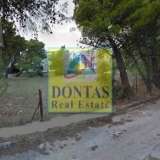  (For Sale) Land Plot || East Attica/Drosia - 500 Sq.m, 250.000€ Drosia 8020751 thumb0