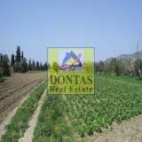  (For Sale) Land Plot || Korinthia/Loutraki-Perachora - 4.065 Sq.m, 580.000€ Perachora 8020801 thumb5