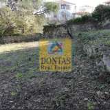  (For Sale) Land Plot || Magnisia/Sporades-Skopelos - 800 Sq.m, 350.000€ Skopelos 7720092 thumb2