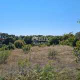 ISTRIA, KRNICA - House with a swimming pool near the sea, with a large garden Marčana 8220944 thumb6
