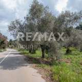  For Sale - (€ 0 / m2), Agricultural 18508 m2 Sipiada 7721146 thumb1