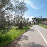  For Sale - (€ 0 / m2), Agricultural 18508 m2 Sipiada 7721146 thumb2