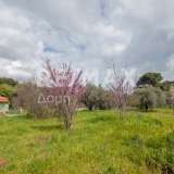  For Sale - (€ 0 / m2), Agricultural 18508 m2 Sipiada 7721146 thumb6