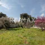  For Sale - (€ 0 / m2), Agricultural 18508 m2 Sipiada 7721146 thumb3