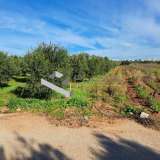  (For Sale) Land Agricultural Land  || East Attica/Paiania - 18.000 Sq.m, 288.000€ Athens 7521280 thumb1