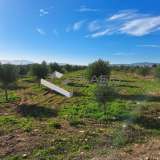  (For Sale) Land Agricultural Land  || East Attica/Paiania - 18.000 Sq.m, 288.000€ Athens 7521280 thumb3