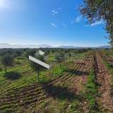  (For Sale) Land Agricultural Land  || East Attica/Paiania - 18.000 Sq.m, 288.000€ Athens 7521280 thumb0