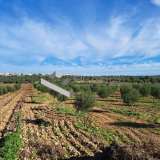  (For Sale) Land Agricultural Land  || East Attica/Paiania - 18.000 Sq.m, 288.000€ Athens 7521280 thumb4