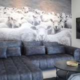  INSEL PAG, JAKIŠNICA - außergewöhnliche moderne Maisonette-Villa mit Pool Novalja 8121280 thumb10