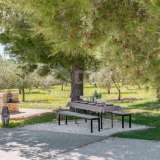  ISTRIA, VODNJAN - Beautiful luxury villa with olive grove Vodnjan 8121593 thumb54
