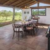  ISTRIA, VODNJAN - Beautiful luxury villa with olive grove Vodnjan 8121593 thumb58