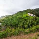  Para Venda, Funchal Funchal 7921701 thumb1