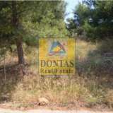  (For Sale) Land Plot || East Attica/Dionysos - 800 Sq.m, 280.000€ Dionysos 7721703 thumb1