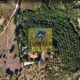  (For Sale) Land Plot || East Attica/Kapandriti - 40.780 Sq.m, 790.000€ Kapandriti 7921715 thumb5