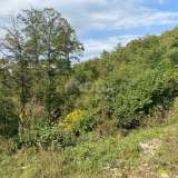 VIŠKOVO, SARŠONI, RONJGI - building plot 6802 m2 for a residential building - apartments - apartments / family house / house for rent - holiday with swimming pool!!! Saršoni 8121728 thumb4