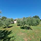  ИСТРИЯ, КРНИЦА - Уникальное поместье с панорамным видом Маркана 8121797 thumb3
