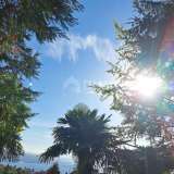  OPATIJA, CENTER - detached house with a beautiful view and garden in the center of Opatija Opatija 8121817 thumb1