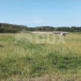  ISTRIA, BRTONIGLA - Beautiful meadow of 7596 m2 Brtonigla 8121854 thumb0