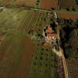  ISTRIA, ROVIGNO - Due case in zona appartata con giardino di 6.853 mq Rovinj 8121907 thumb20