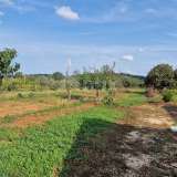  ISTRIA, ROVINJ - Two houses in a secluded area with 6,853 m2 garden Rovinj 8121907 thumb25