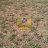  (For Sale) Land Agricultural Land  || East Attica/Acharnes (Menidi) - 4.800 Sq.m, 1.100.000€ Athens 7822197 thumb0
