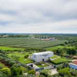  ISTRIA, UMAG Luxury modern villa with sea view Umag 8122200 thumb2