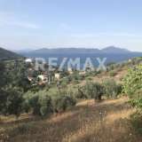  For Sale - (€ 0 / m2), Agricultural 4281 m2 Pteleos 6622224 thumb6
