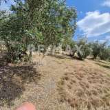  For Sale - (€ 0 / m2), Agricultural 9920 m2 Sourpi 6722439 thumb4
