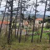  Grundstück Cerovlje, 9.300m2 Cerovlje 8122476 thumb4