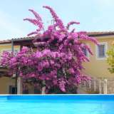  ISTRIA, PREMANTURA Two holiday houses with pool - NEAR THE SEA !! Premantura 8122563 thumb0