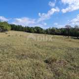  ISTRIA, GROŽNJAN - Spacious building land in a secluded area Grozhnjan 8122624 thumb2