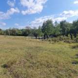  ISTRIA, GROŽNJAN - Spacious building land in a secluded area Grozhnjan 8122624 thumb3
