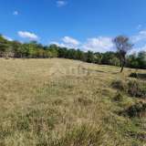  ISTRIA, GROŽNJAN - Spacious building land in a secluded area Grozhnjan 8122624 thumb15